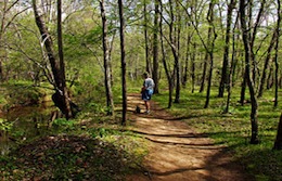 pet friendly hiking trail in durham