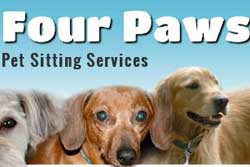 pet sitting in raleigh 