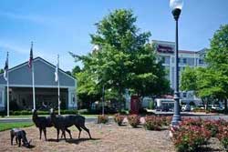 pet friendly hotel in raleigh-durham