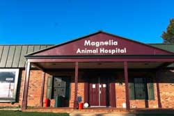 pet friendly vet in raleigh 