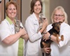 pet friendly veterinarians in mesa arizona