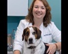 pet friendly veterinarians in mesa arizona